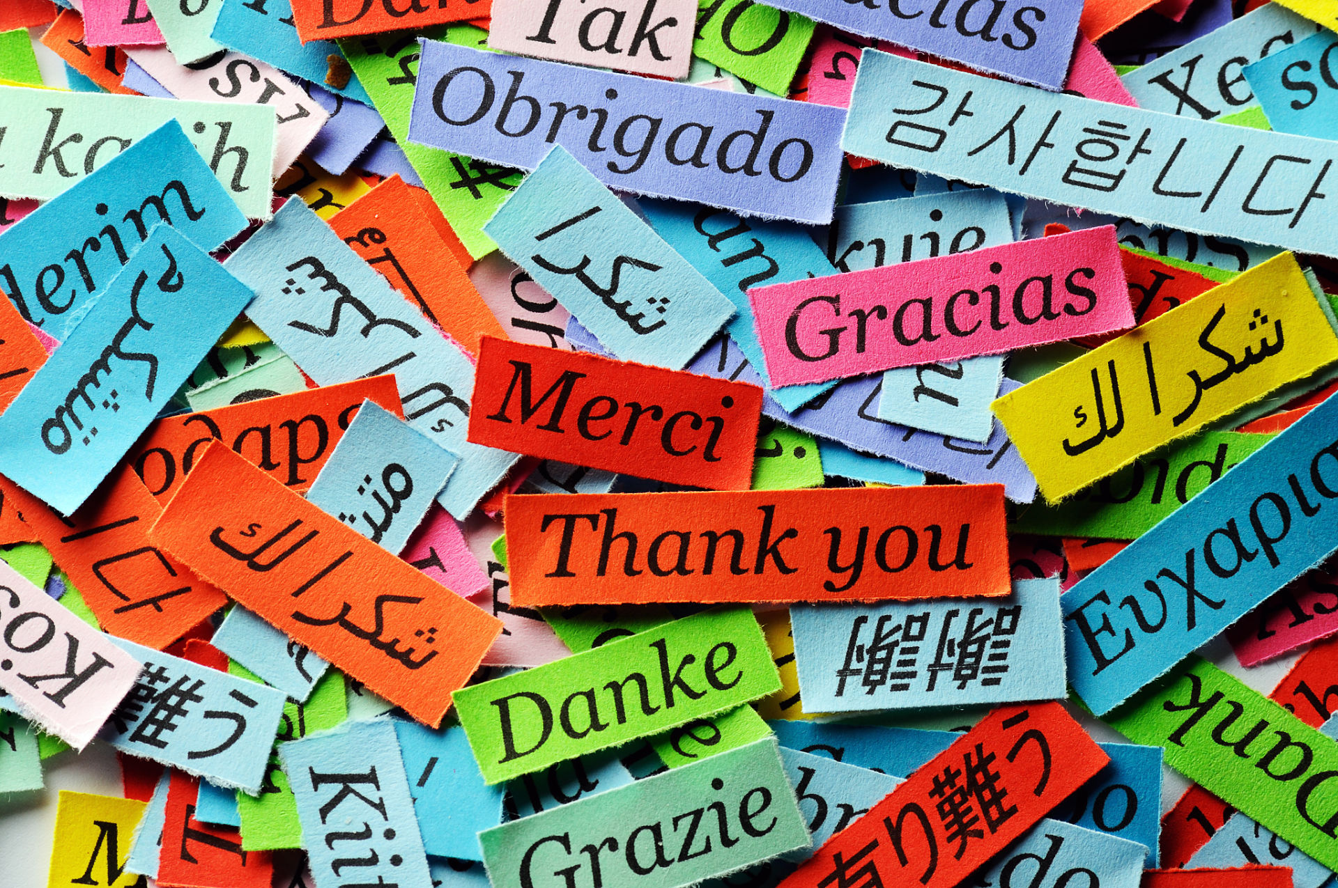 El decir “Gracias”／「ありがとう」と言うこと